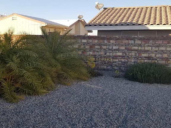 Date palms  fruit trees and rosemary