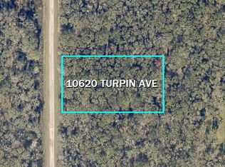 10620 Turpin Ave, Hastings, FL 32145