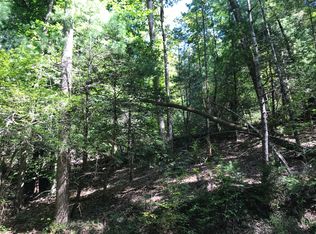 0 Hidden Lake Dr LOT 22, Cherry Log, GA 30522