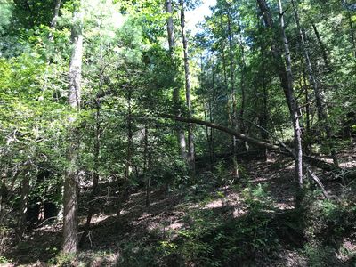0 Hidden Lake Dr Lot 22, Cherry Log, GA, 30522