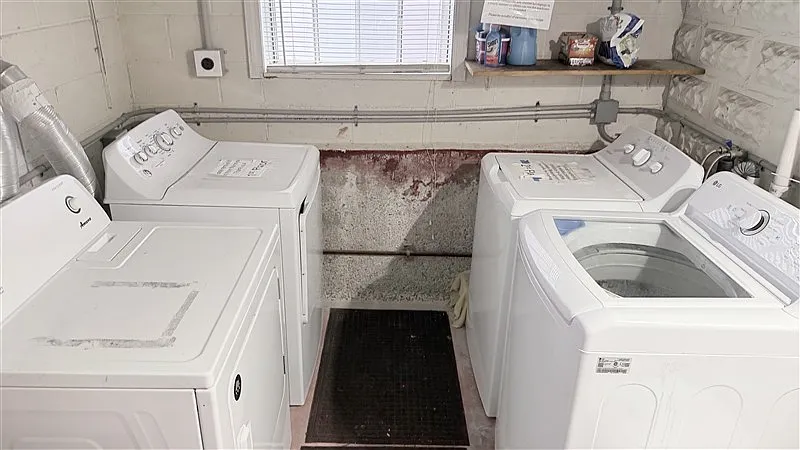 3 bed, 1500 sqft, $4,000 — Photo 3