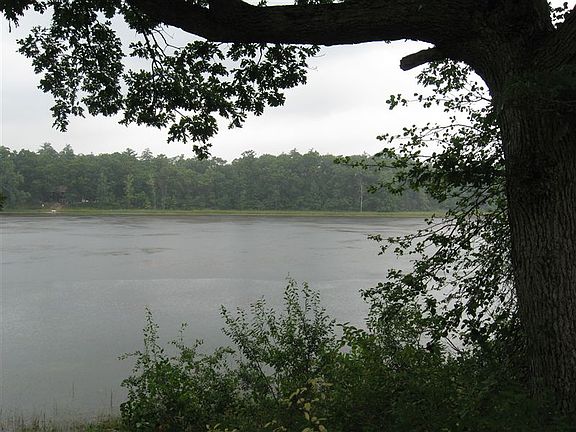 Peaceful View of Goose Egg Lake