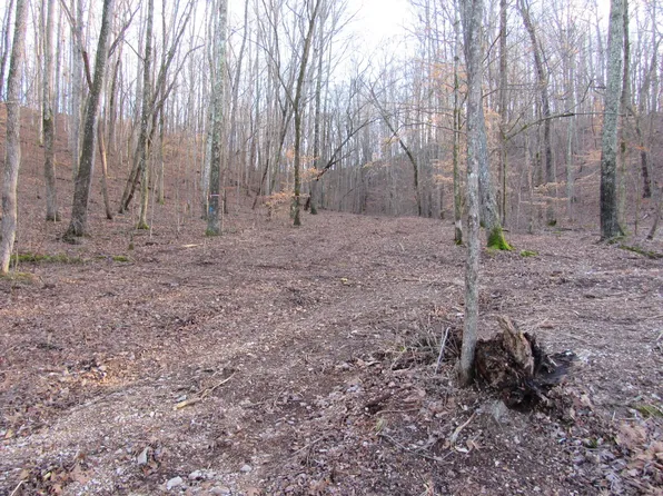 Britt Rd, Lobelville, TN 37097