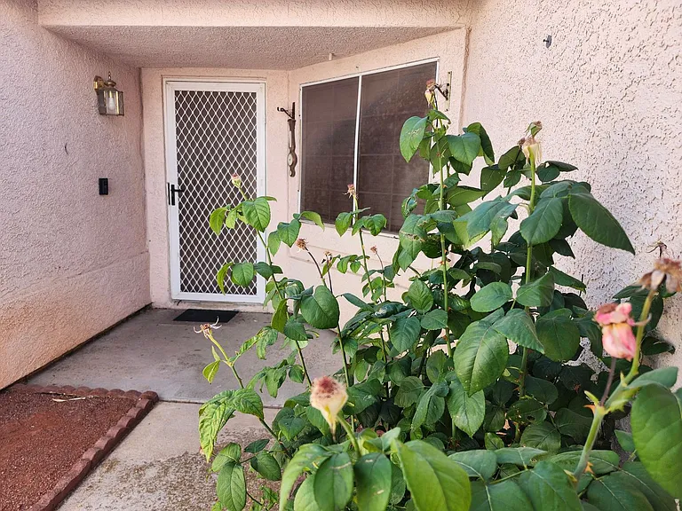 1238 Pagentry Dr — Photo 3