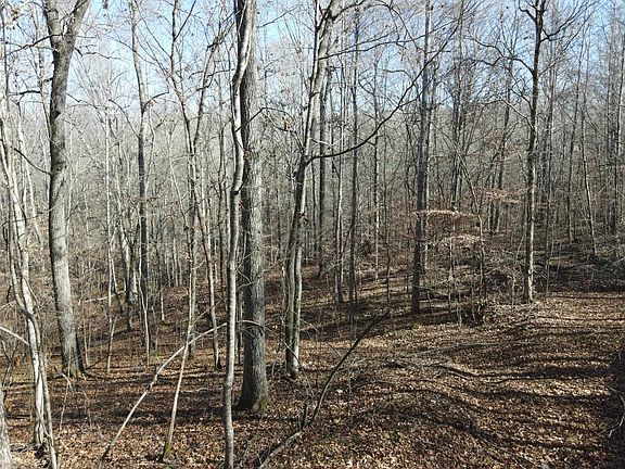 9th image of this home