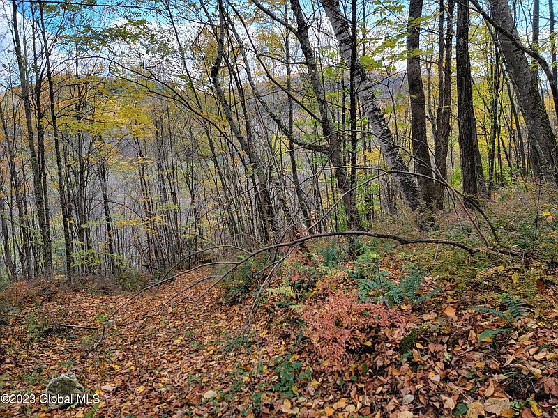 2nd image of L6.113 NY State Route 22