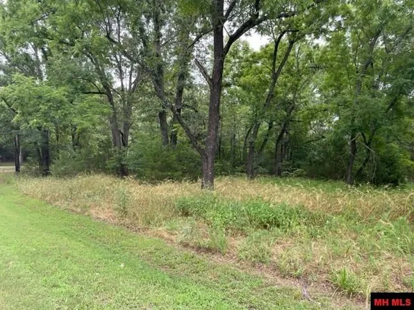 1795 County Road 804, Gamaliel, AR 72537