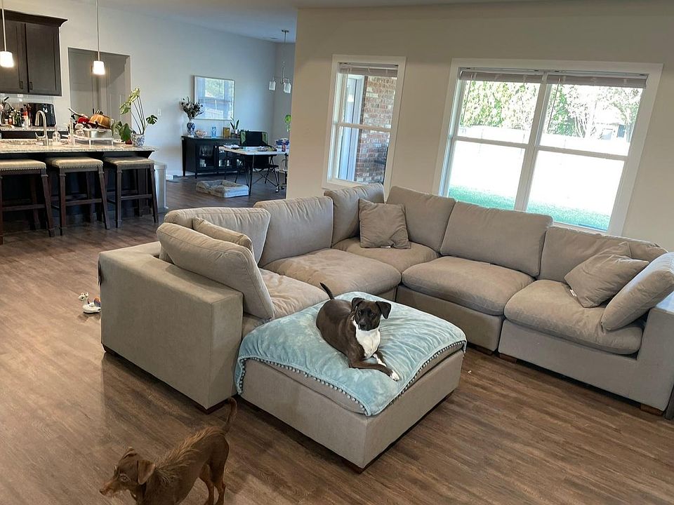 Bobs for clearance dogs zillow