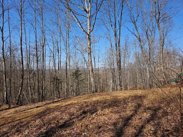 Tiny Homes Ln, Thorn Hill, TN 37881