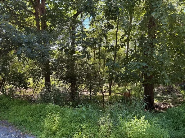 1623 Comanche Trl, Malvern, OH 44644