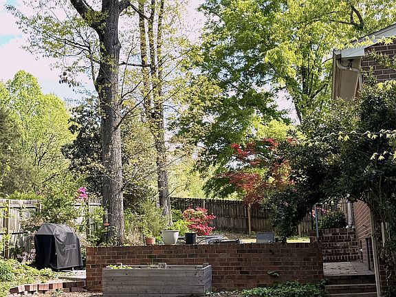 back yard view from driveway side