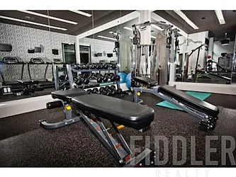 Rented by Fiddler Realty