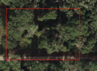 SE 156th St LOT 170, Umatilla, FL 32784