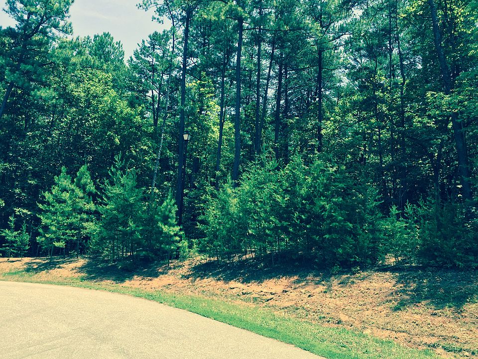 Large wooded lots