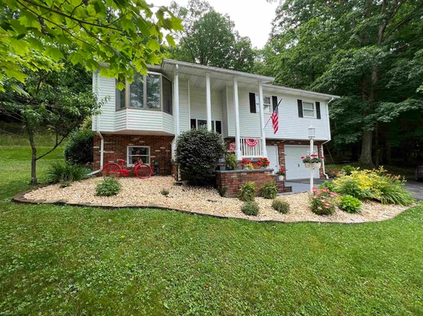 617 Bretz Back Rd, Hambleton, WV 26269