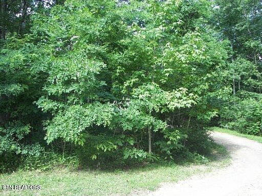 1st image of 30 Butternut Ln