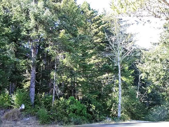 4th image of 2506 NW Mokmak Lake Dr