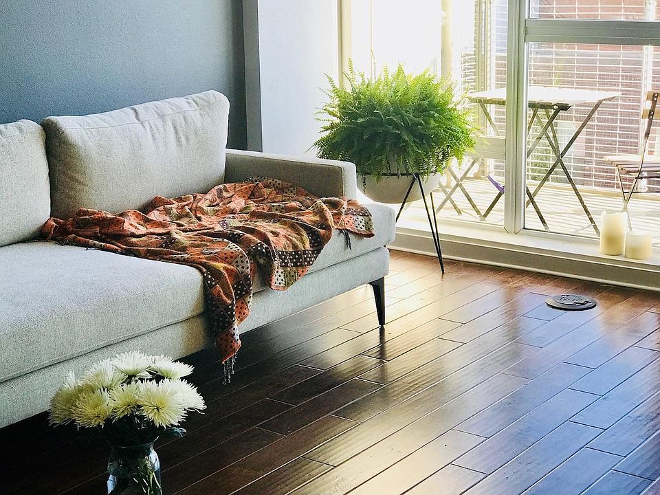 Our bright, cozy, and lovely apartment!