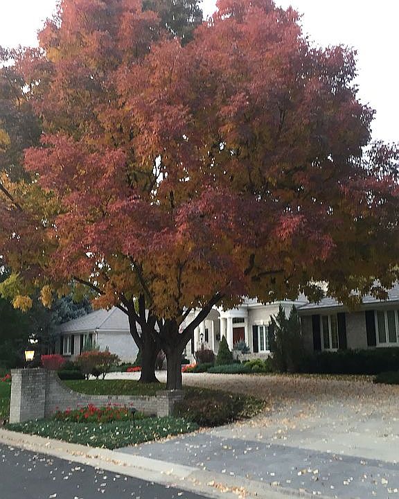2nd image of 4682 S Elizabeth Ct