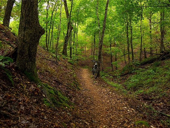 3rd image of 3 Ashdown Ln