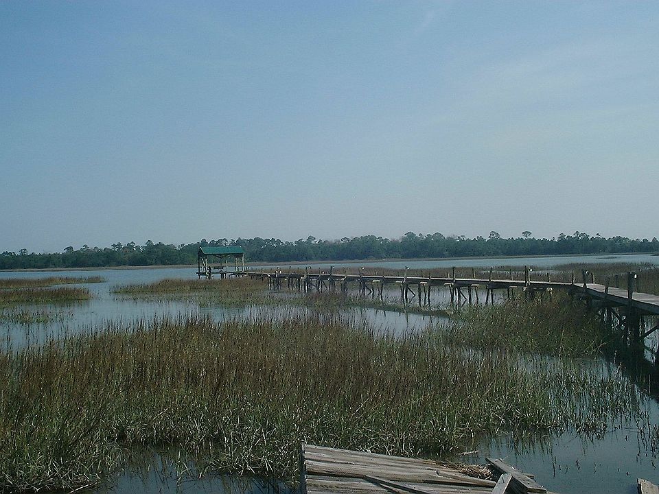 marsh view