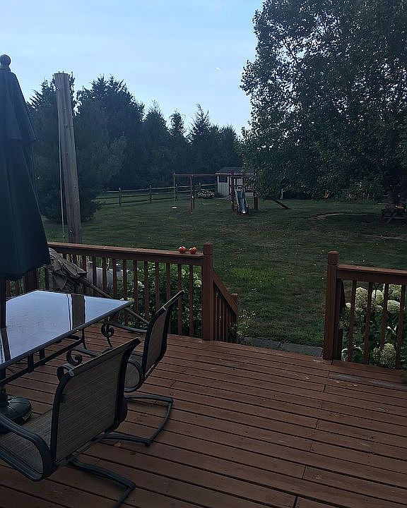 Back yard