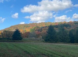 E Bramley Mountain Rd, Bovina, NY 13740