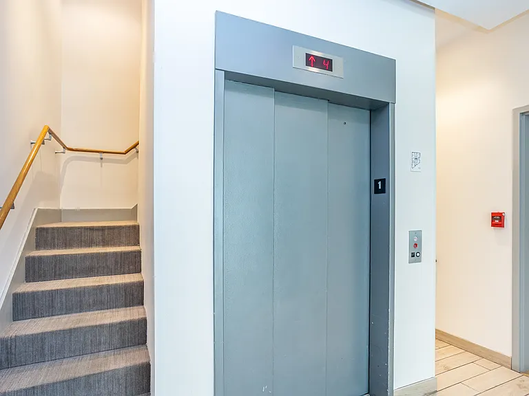 115 Mt Auburn St. — Photo 27