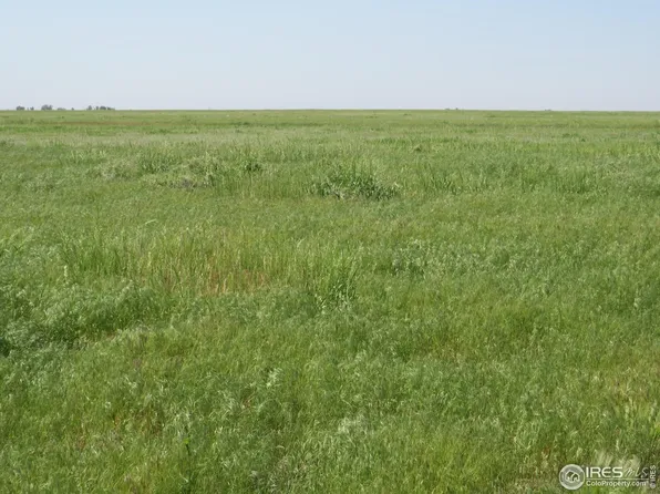 0 Lot 7 County Road 102, Nunn, CO 80648