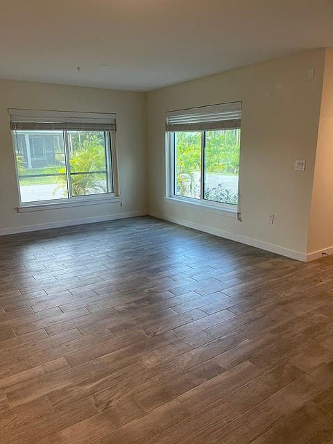 Windows in living room