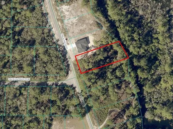 25 Malauka Pass Lot 25, Ocklawaha, FL 32179