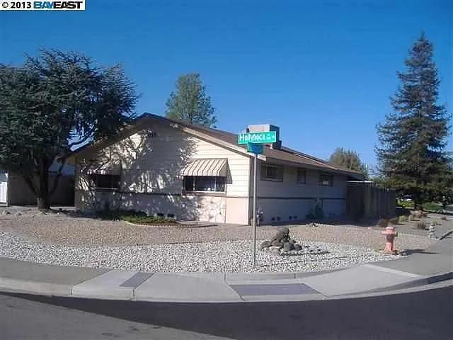 1115 Hollyhock St photo 1