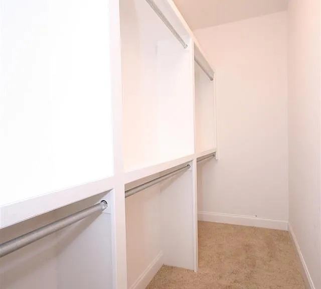 231 Grove Village Way — Photo 20