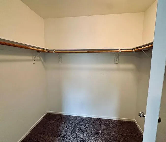 9860 Coastal Fog Dr — Photo 19