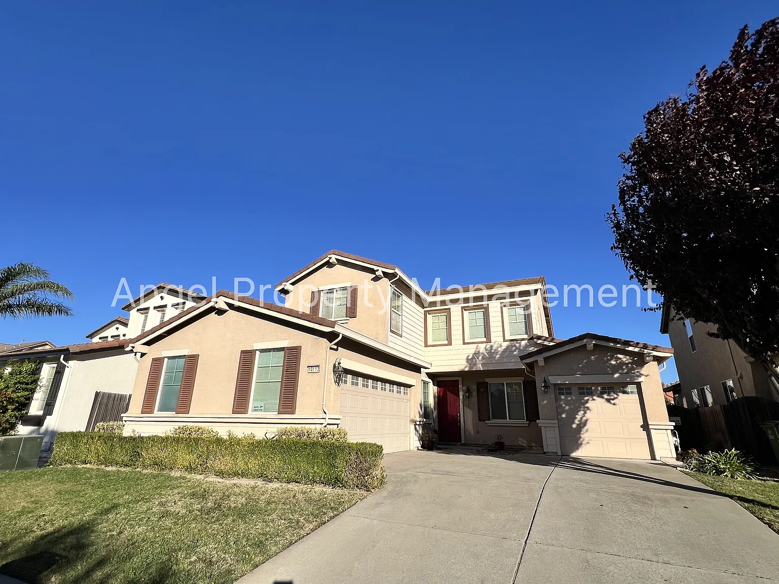 10113 Annie Street - 1 — Photo 1