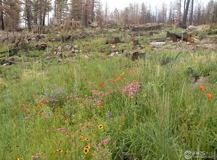 3100 Whale Rock Rd, Bellvue, CO 80512