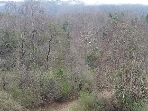 2nd image of E Millers Cove Rd