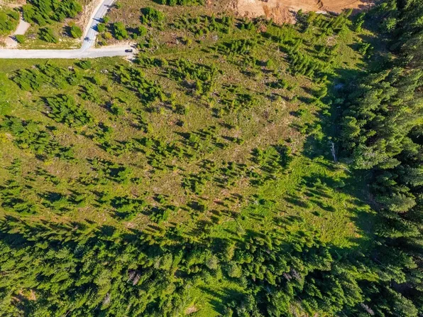 Nna Little Italy Ln Lot 3, Priest River, ID 83856