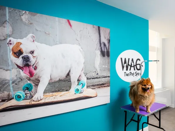 100 Willoughby Street image 6 of 43