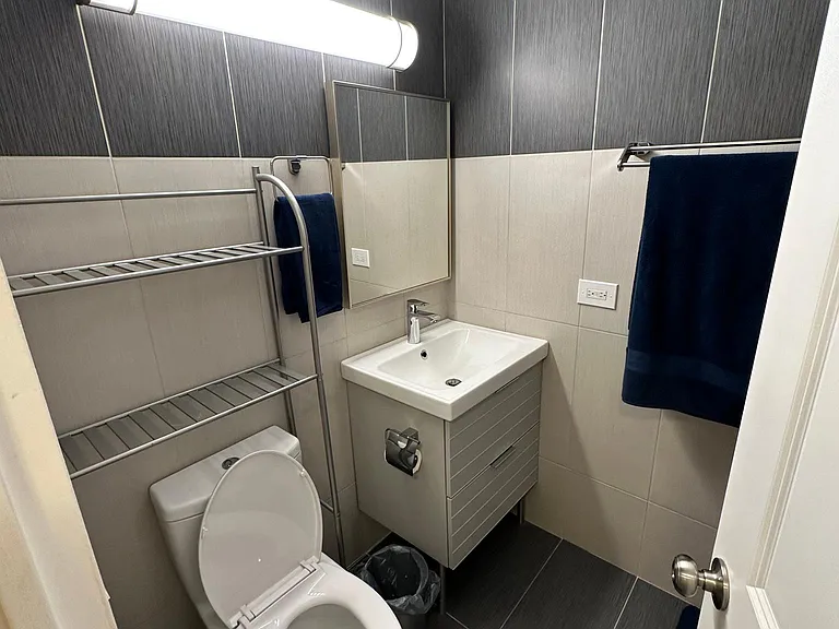 1540 N Lasalle St #302 — Photo 9