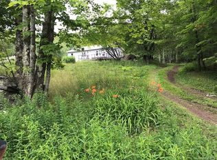 898 Cooley Rd, Parksville, NY 12768