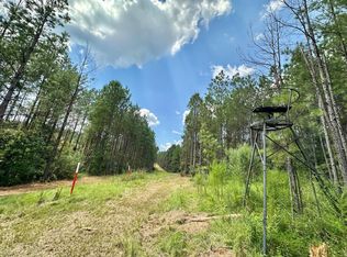 1 Whitetown Ln, Hazlehurst, MS 39083