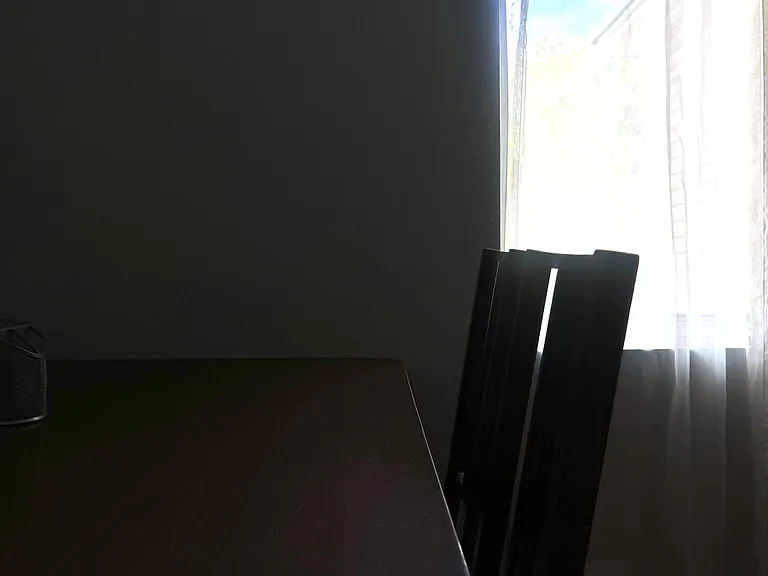 327 Laurier Ave E #2 — Photo 10