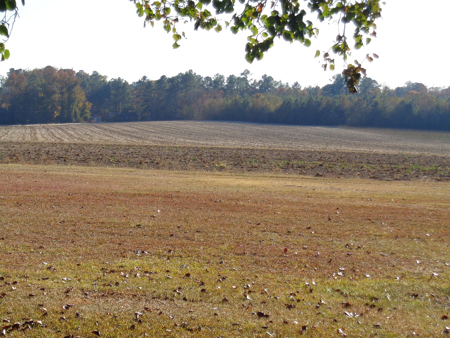 82 Dixie Farm Rd, Sanford, NC 27332 Zillow