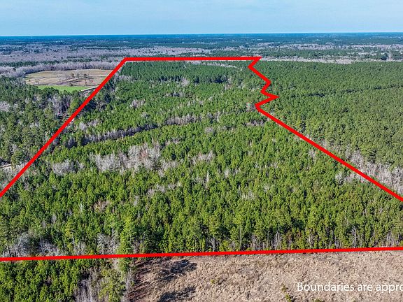 3rd image of 0 Lowcountry Hwy