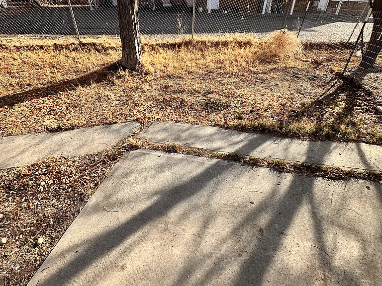 1316 Poplar Dr #4 — Photo 5