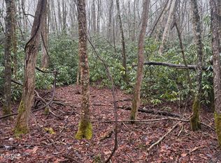 Stocton Rd, Roan Mountain, TN 37687