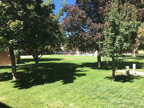 Backyard/Pool/Basketball Ct