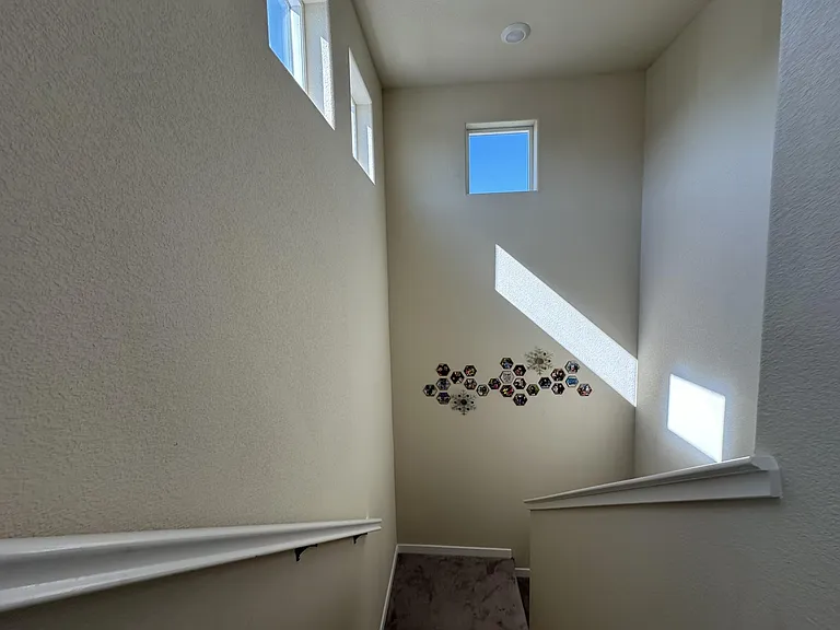 4519 Ocean Ln — Photo 9
