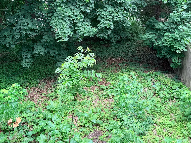 127 West Ave #1 — Photo 10